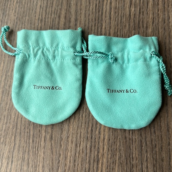 Tiffany&Co. The Landmark 727 Fifth Ave. New York huge gift bag set w silver tag - Picture 8 of 9